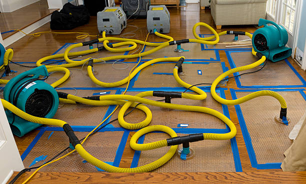 Professional Burst Pipe Water Damage technician working in Taylor, TX